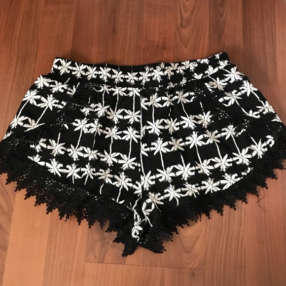 Pants - Palm tree shorts